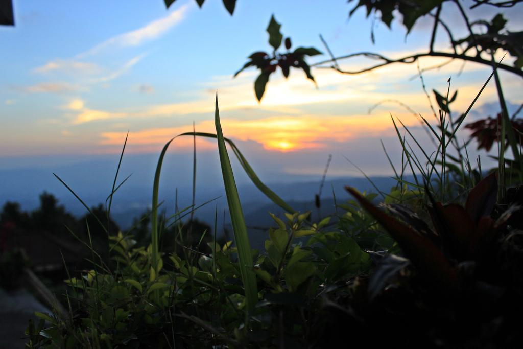 Aryautama Garden Villa Munduk Dış mekan fotoğraf
