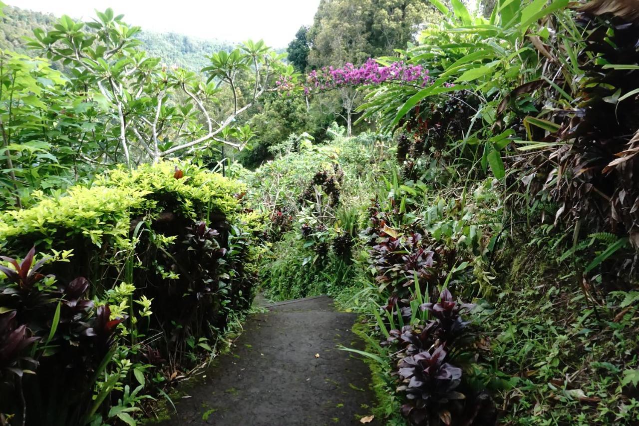 Aryautama Garden Villa Munduk Dış mekan fotoğraf