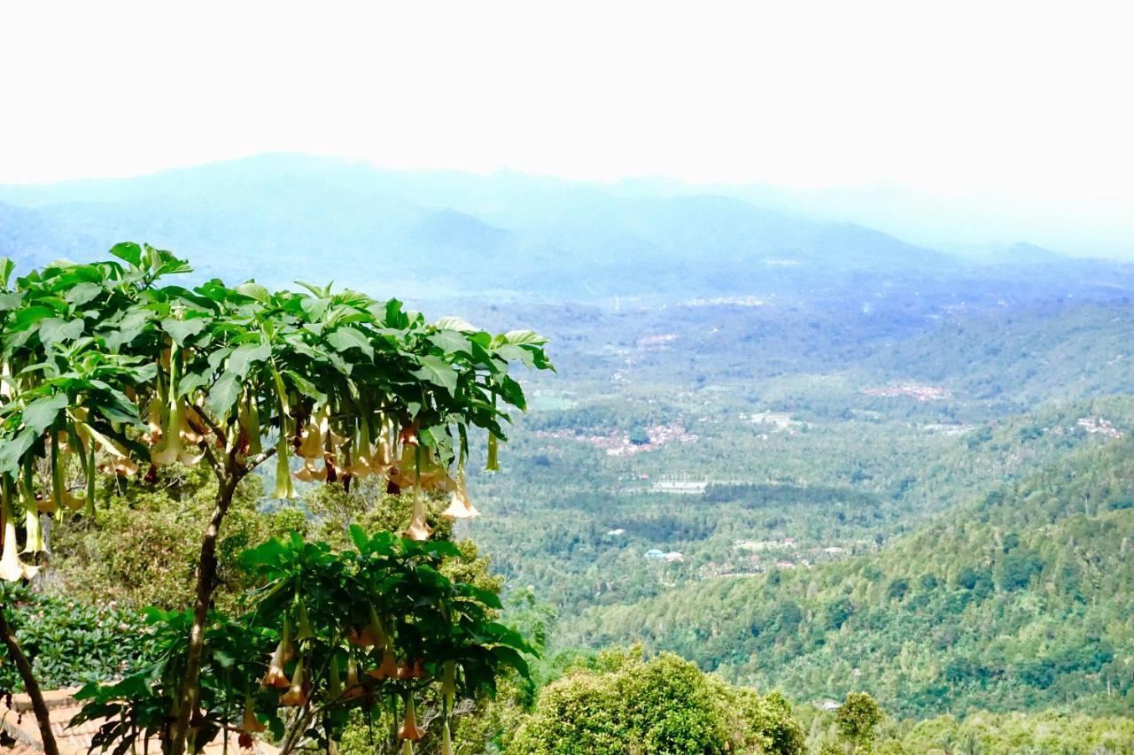 Aryautama Garden Villa Munduk Dış mekan fotoğraf